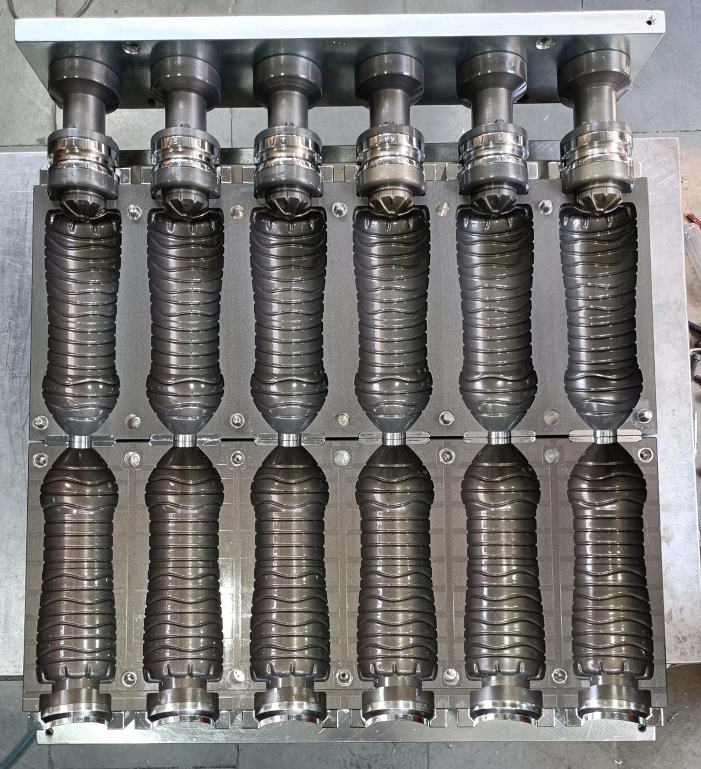 Six Cavity PET Water Bottle Mould